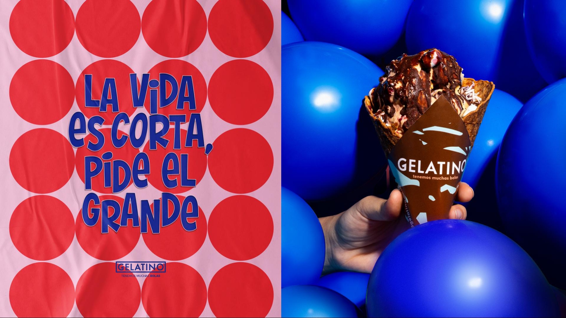 heladería gelatino 2024
